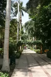 Ботанический сад в Асуане, фото 5