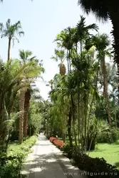 Ботанический сад в Асуане, фото 42