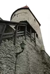 Башня Grusbeke-tagune