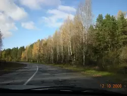 Дорога в Углич, Ярославская область