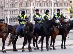 Конная полиция в Стокгольме