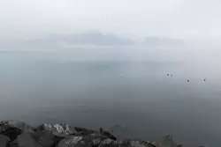 Монтрё и Женевское озеро, фото 17