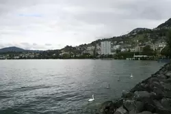 Монтрё и Женевское озеро, фото 37