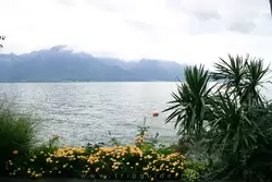 Монтрё и Женевское озеро, фото 51