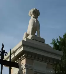 Собака на ограде виллы