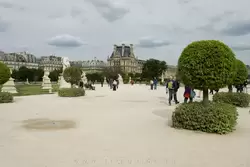 Сад Тюильри, Париж