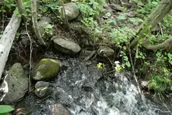 Потоки воды между камнями
