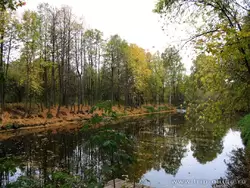 Золотая осень в Переславле Залесском