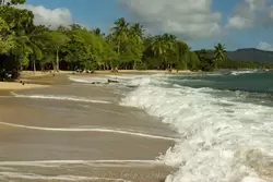 Мартиника, фото 5