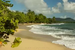 Мартиника, фото 7