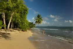 Мартиника, фото 28