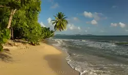 Мартиника, фото 31