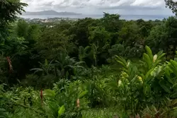 Мартиника, фото 41
